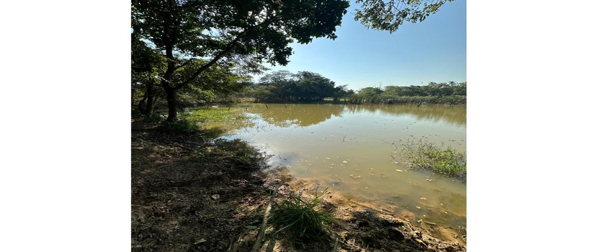 Foto de rancho en venta en  , nuevo méxico, balancán, tabasco, 0 No. 04