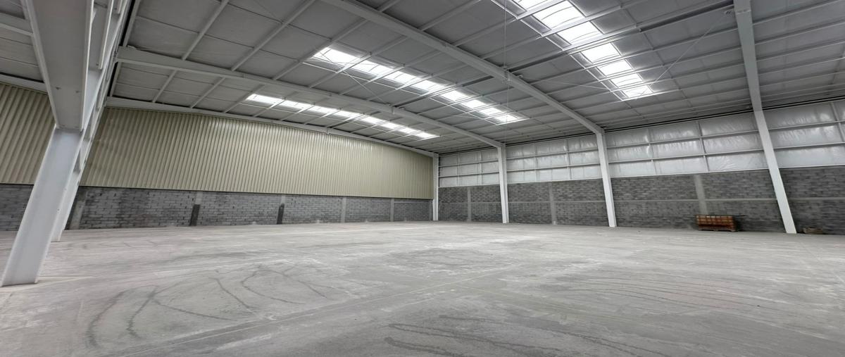 Foto de bodega en renta en  , nuevo méxico, saltillo, coahuila de zaragoza, 0 No. 04