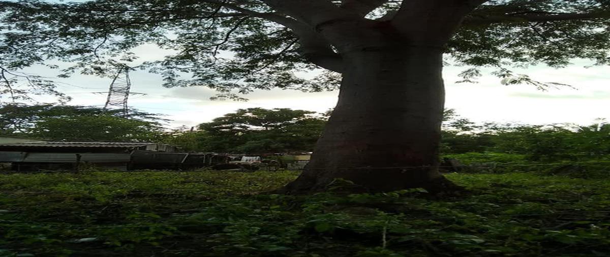 Foto de terreno habitacional en venta en  , nuevo miramar, manzanillo, colima, 0 No. 04