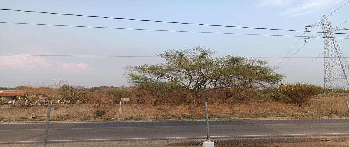 Foto de terreno habitacional en venta en  , nuevo paraíso, la concordia, chiapas, 26477561 No. 03