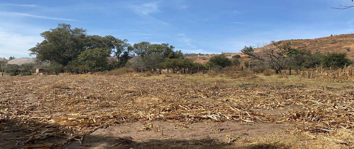 Foto de terreno comercial en venta en nuevo periférico oriente , el ahuatan, tonalá, jalisco, 0 No. 03
