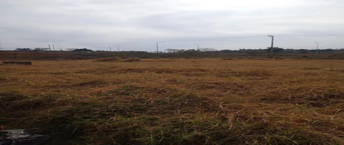 Foto de terreno industrial en venta en nuevo periférico oriente , jalisco 1a. sección, tonalá, jalisco, 26145398 No. 04