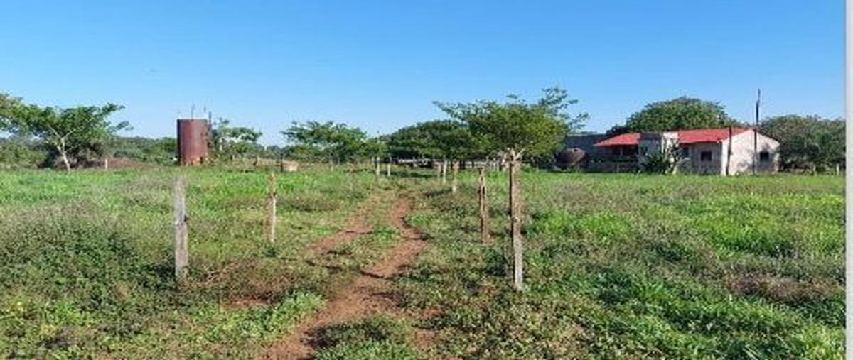 Foto de rancho en venta en nuevo poblado vista hermosa, acayucan, veracruz , nuevo poblado vista hermosa, acayucan, veracruz de ignacio de la llave, 0 No. 03