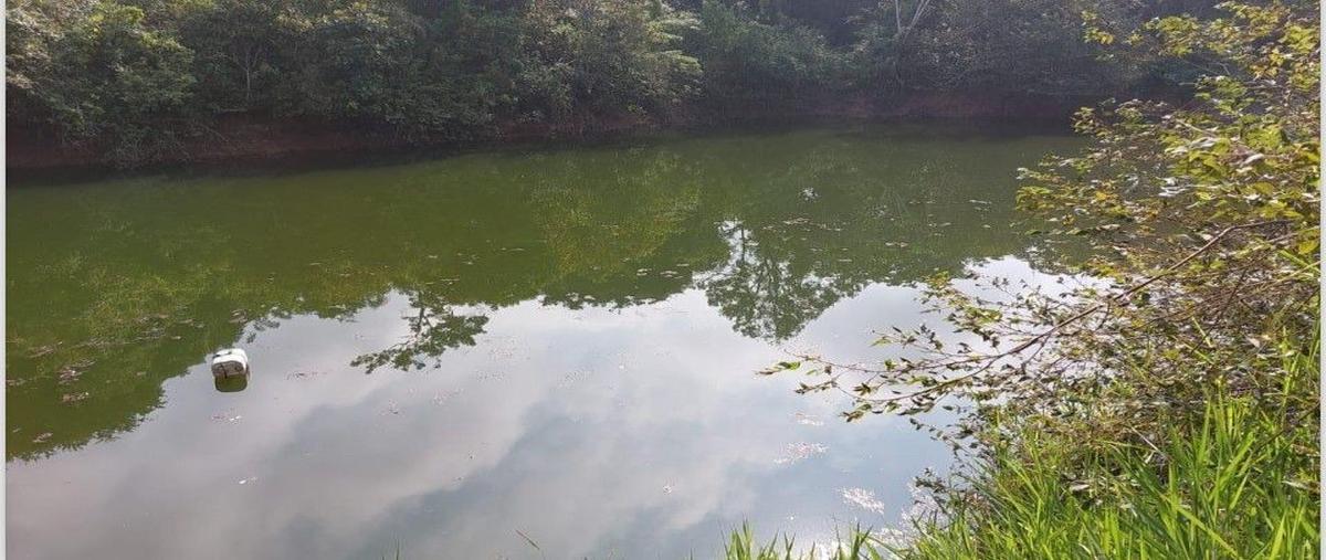 Foto de rancho en venta en nuevo poblado vista hermosa, acayucan, veracruz , nuevo poblado vista hermosa, acayucan, veracruz de ignacio de la llave, 0 No. 04