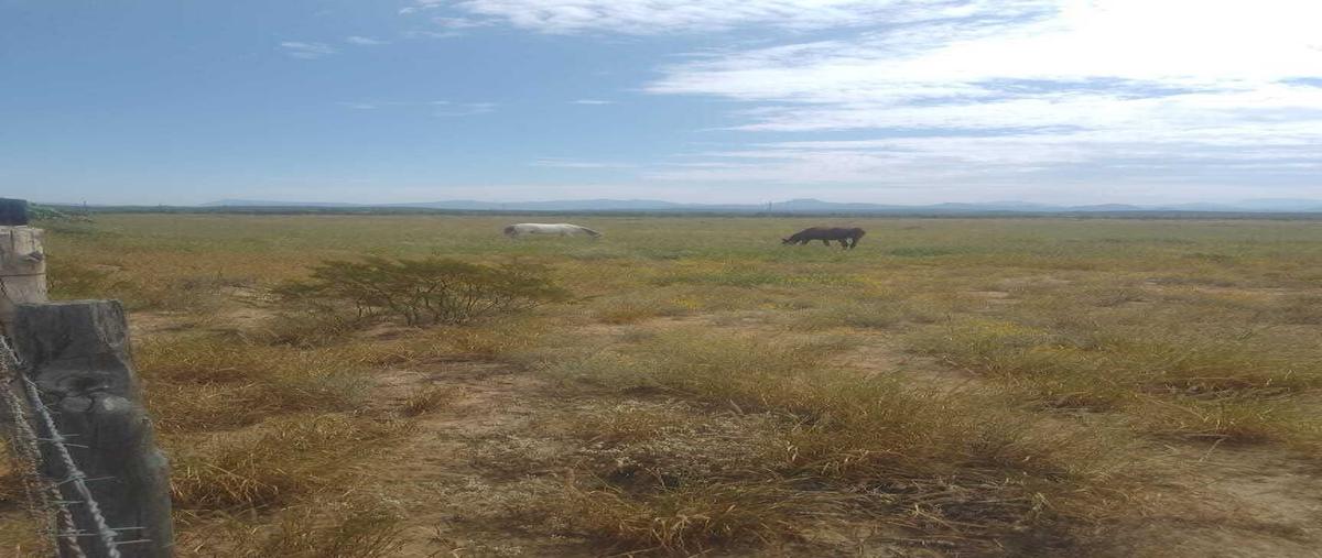 Foto de terreno habitacional en venta en  , nuevo ramos arizpe, ramos arizpe, coahuila de zaragoza, 0 No. 03