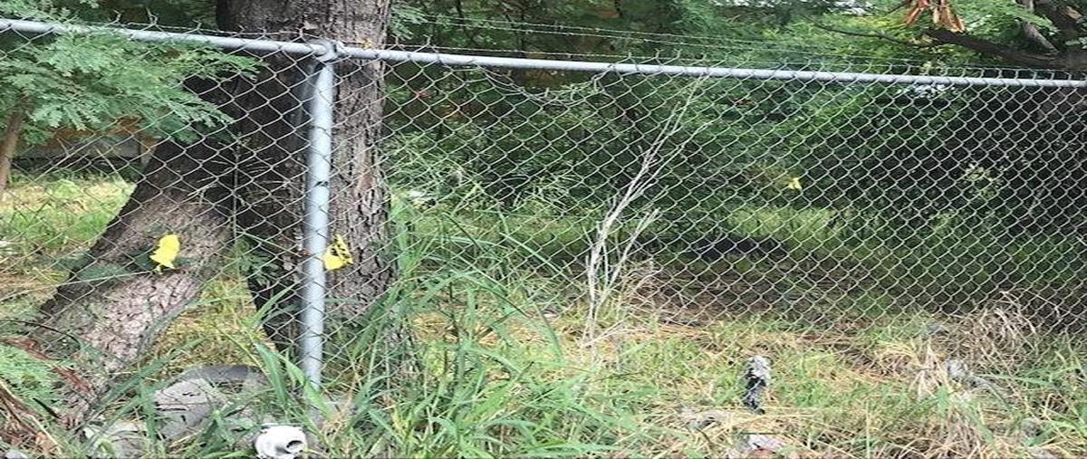 Foto de terreno habitacional en renta en  , nuevo repueblo, monterrey, nuevo león, 25944118 No. 03