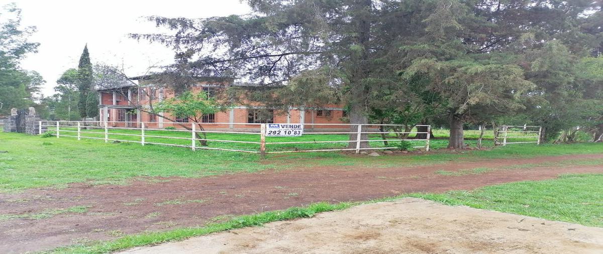 Foto de rancho en venta en nuevo rodeo , nuevo rodeo, tzintzuntzan, michoacán de ocampo, 21341548 No. 03