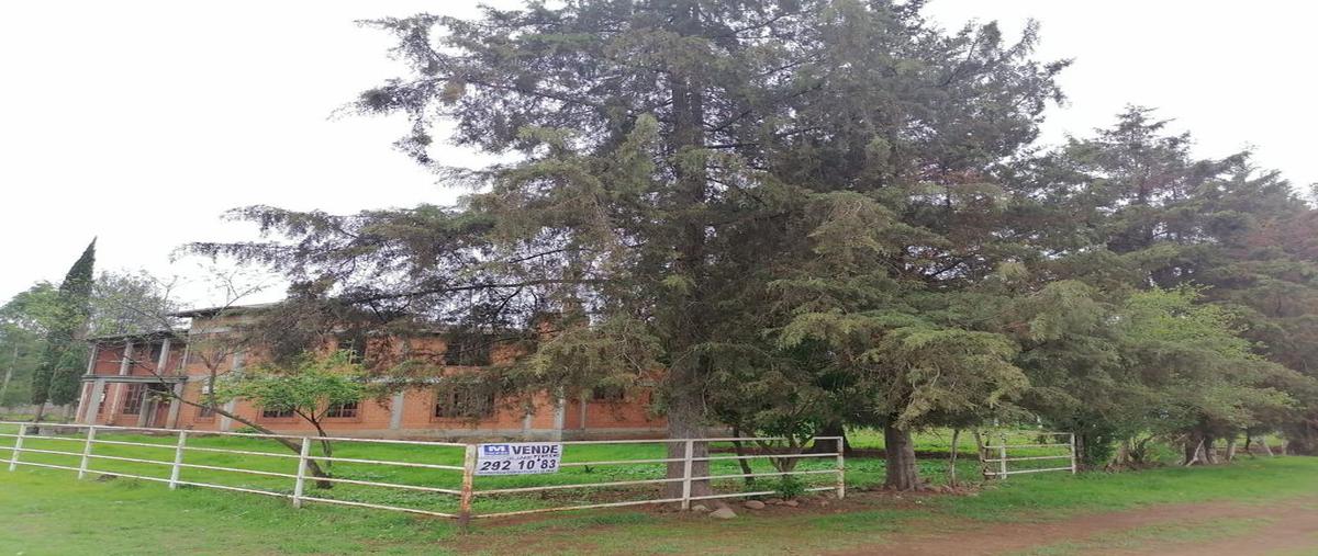 Foto de rancho en venta en nuevo rodeo , nuevo rodeo, tzintzuntzan, michoacán de ocampo, 21341548 No. 04