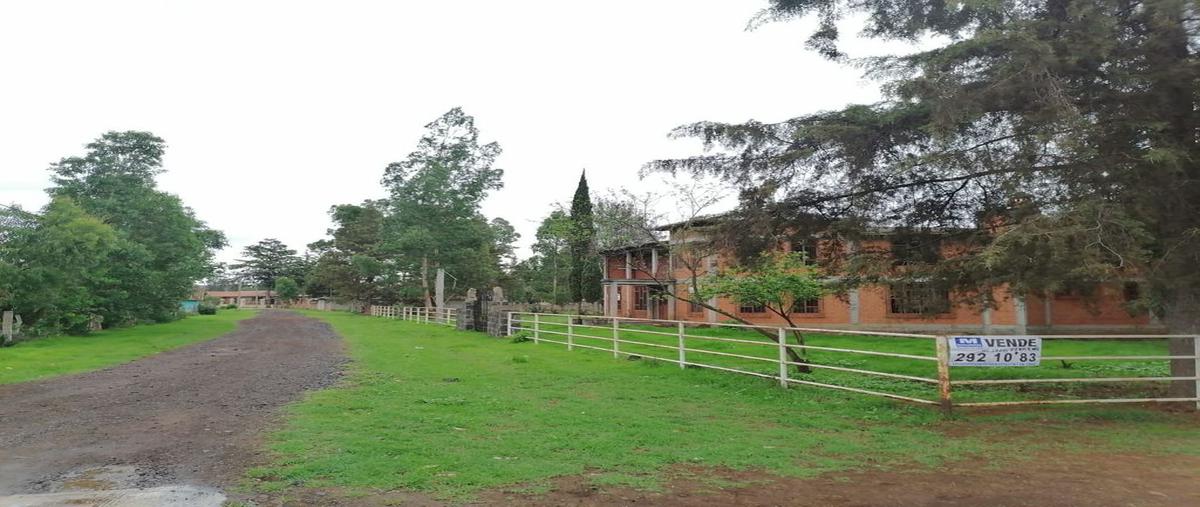 Foto de rancho en venta en nuevo rodeo , nuevo rodeo, tzintzuntzan, michoacán de ocampo, 21341548 No. 05