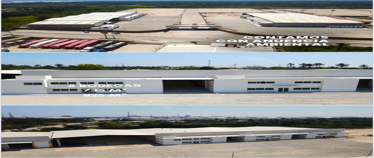 Foto de bodega en , nuevo torno largo, paraíso, tabasco, 30147788 foto 04 Foto de bodega en renta en , nuevo torno largo, paraíso, tabasco, 30147788 No. 04