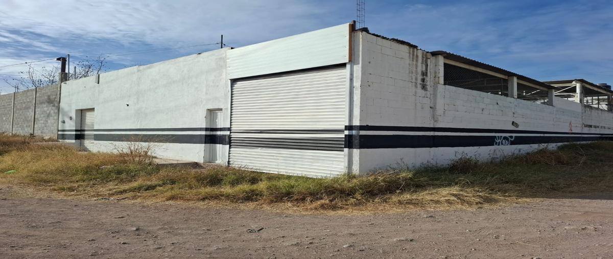 Foto de bodega en renta en  , nuevo triunfo, chihuahua, chihuahua, 0 No. 05