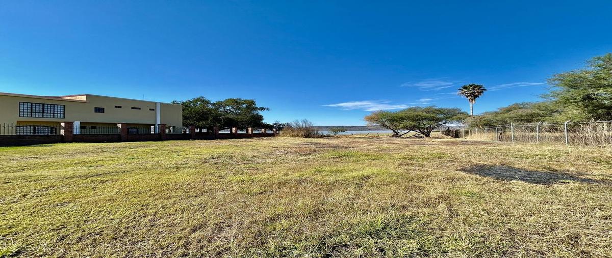 Foto de terreno habitacional en venta en nuevo , villa corona centro, villa corona, jalisco, 0 No. 05