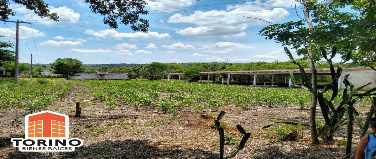 Foto de terreno habitacional en venta en  , nuevo xalapa, xalapa, veracruz de ignacio de la llave, 12177359 No. 03