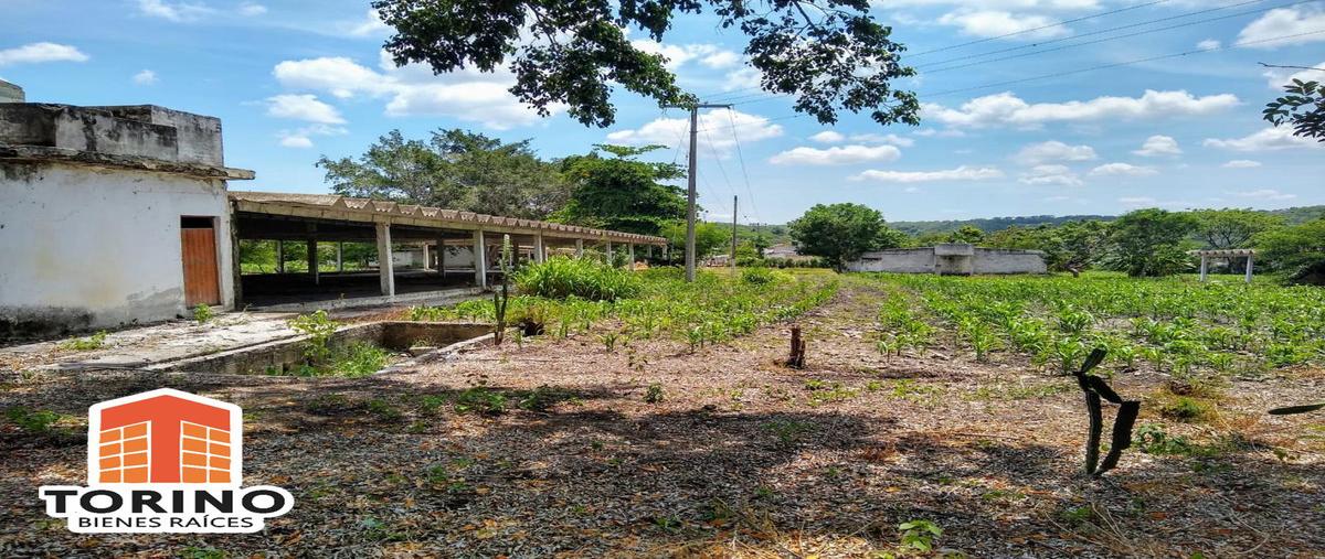 Foto de terreno habitacional en venta en  , nuevo xalapa, xalapa, veracruz de ignacio de la llave, 12177359 No. 04