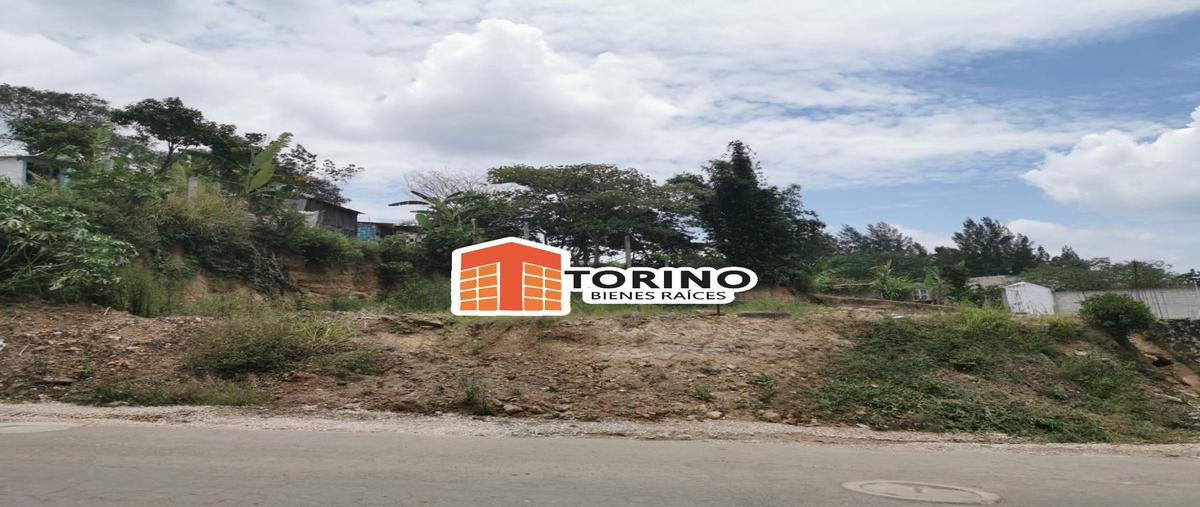 Foto de terreno habitacional en , nuevo xalapa, xalapa, veracruz de ignacio de la llave, 12177391 foto 04 Foto de terreno habitacional en venta en , nuevo xalapa, xalapa, veracruz de ignacio de la llave, 12177391 No. 04