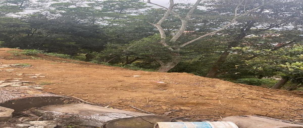 Foto de terreno habitacional en venta en  , nuevo xalapa, xalapa, veracruz de ignacio de la llave, 17437610 No. 03
