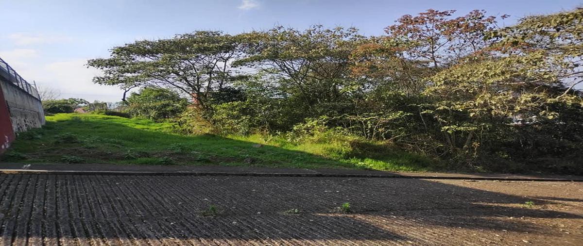 Foto de terreno habitacional en venta en  , nuevo xalapa, xalapa, veracruz de ignacio de la llave, 26374686 No. 05