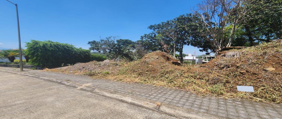 Foto de terreno habitacional en venta en  , nuevo xalapa, xalapa, veracruz de ignacio de la llave, 26630966 No. 03