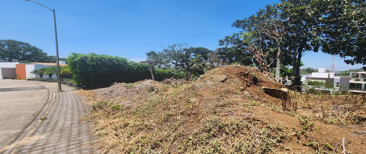 Foto de terreno habitacional en venta en  , nuevo xalapa, xalapa, veracruz de ignacio de la llave, 26630966 No. 04
