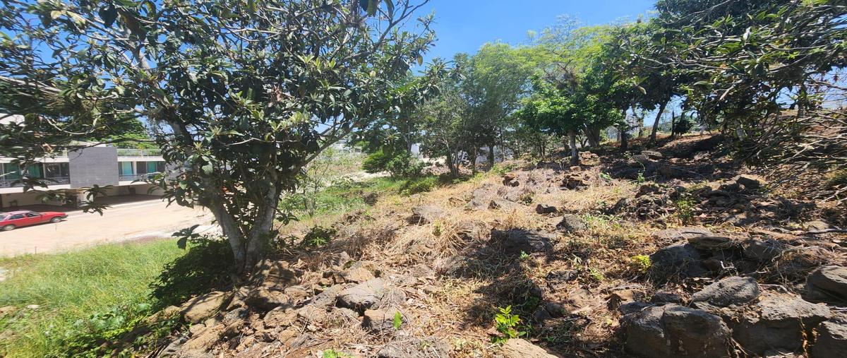 Foto de terreno habitacional en venta en  , nuevo xalapa, xalapa, veracruz de ignacio de la llave, 26630966 No. 05