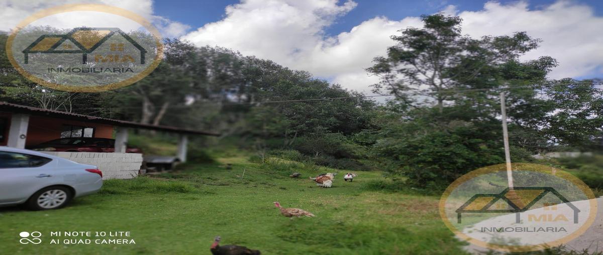 Foto de terreno habitacional en venta en  , nuevo xalapa, xalapa, veracruz de ignacio de la llave, 27160812 No. 03