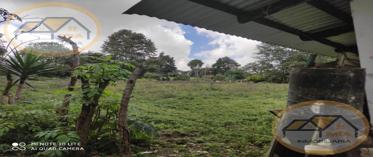 Foto de terreno habitacional en venta en  , nuevo xalapa, xalapa, veracruz de ignacio de la llave, 27160812 No. 04