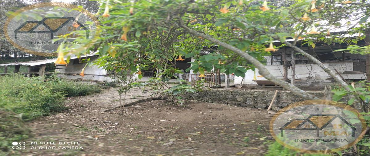 Foto de terreno habitacional en venta en  , nuevo xalapa, xalapa, veracruz de ignacio de la llave, 27160812 No. 05