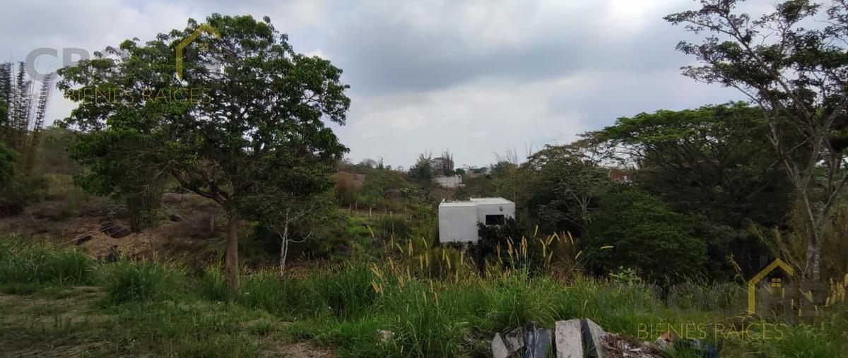 Foto de terreno habitacional en , nuevo xalapa, xalapa, veracruz de ignacio de la llave, 0 foto 03 Foto de terreno habitacional en venta en , nuevo xalapa, xalapa, veracruz de ignacio de la llave, 0 No. 03