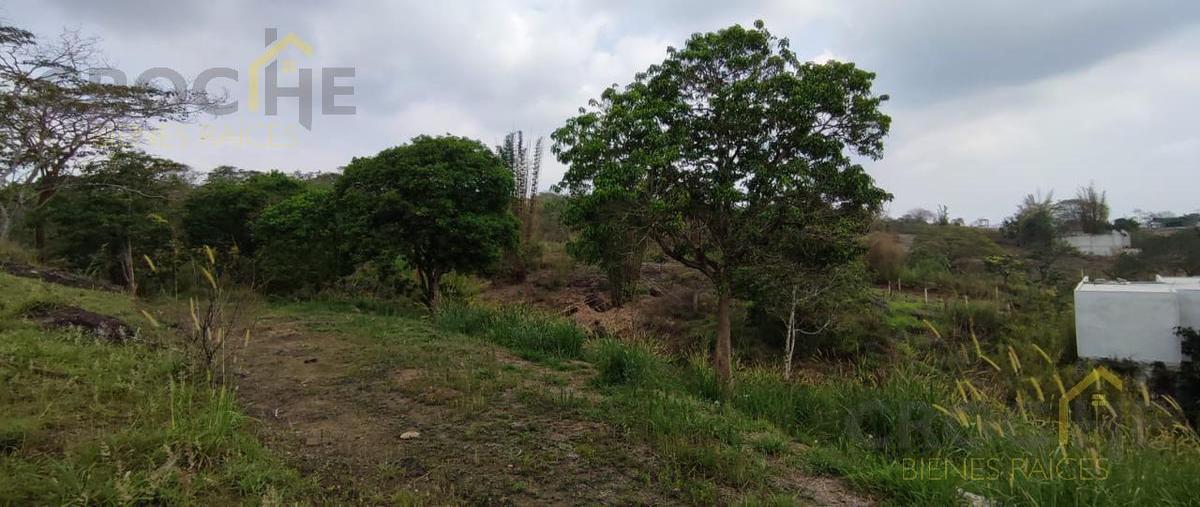 Foto de terreno habitacional en , nuevo xalapa, xalapa, veracruz de ignacio de la llave, 0 foto 04 Foto de terreno habitacional en venta en , nuevo xalapa, xalapa, veracruz de ignacio de la llave, 0 No. 04