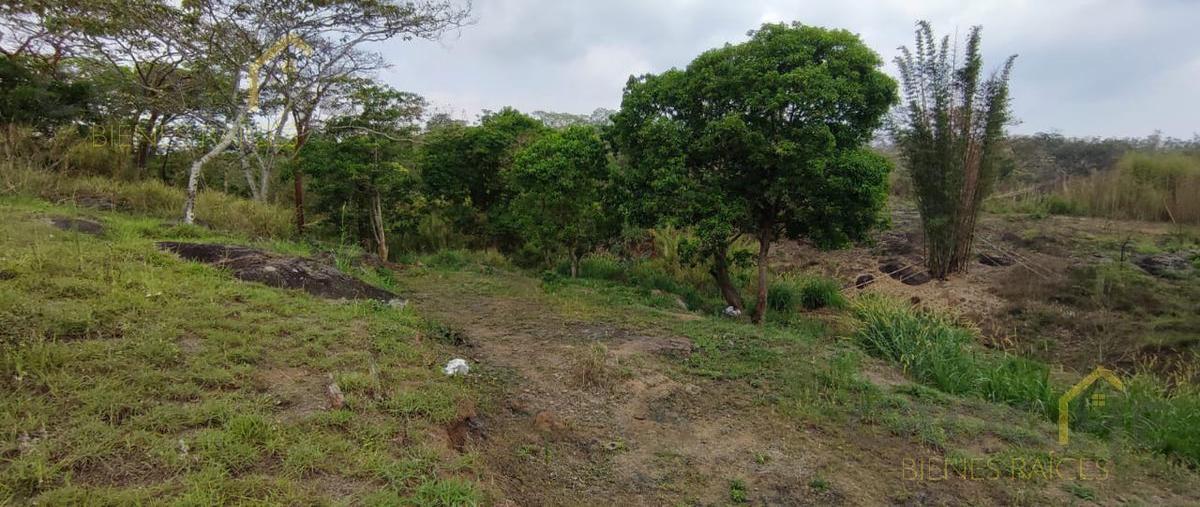 Foto de terreno habitacional en , nuevo xalapa, xalapa, veracruz de ignacio de la llave, 0 foto 05 Foto de terreno habitacional en venta en , nuevo xalapa, xalapa, veracruz de ignacio de la llave, 0 No. 05