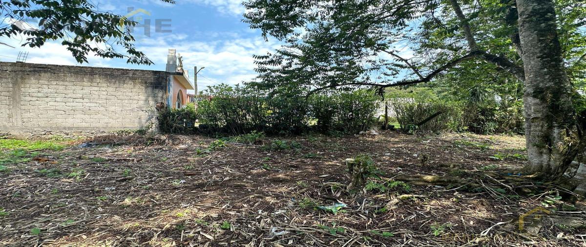 Foto de terreno habitacional en venta en  , nuevo xalapa, xalapa, veracruz de ignacio de la llave, 0 No. 04