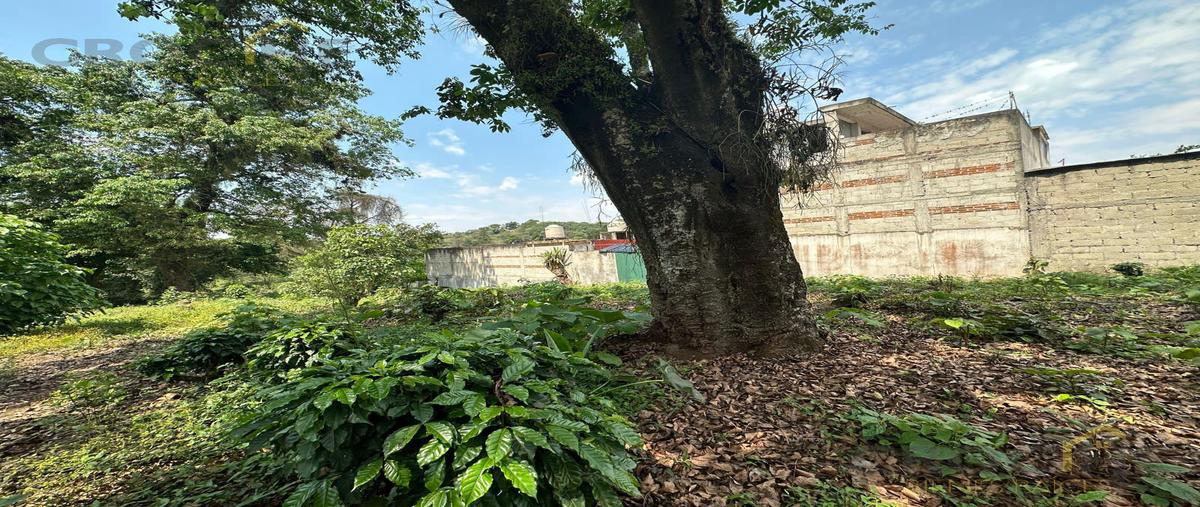 Foto de terreno habitacional en venta en  , nuevo xalapa, xalapa, veracruz de ignacio de la llave, 0 No. 05
