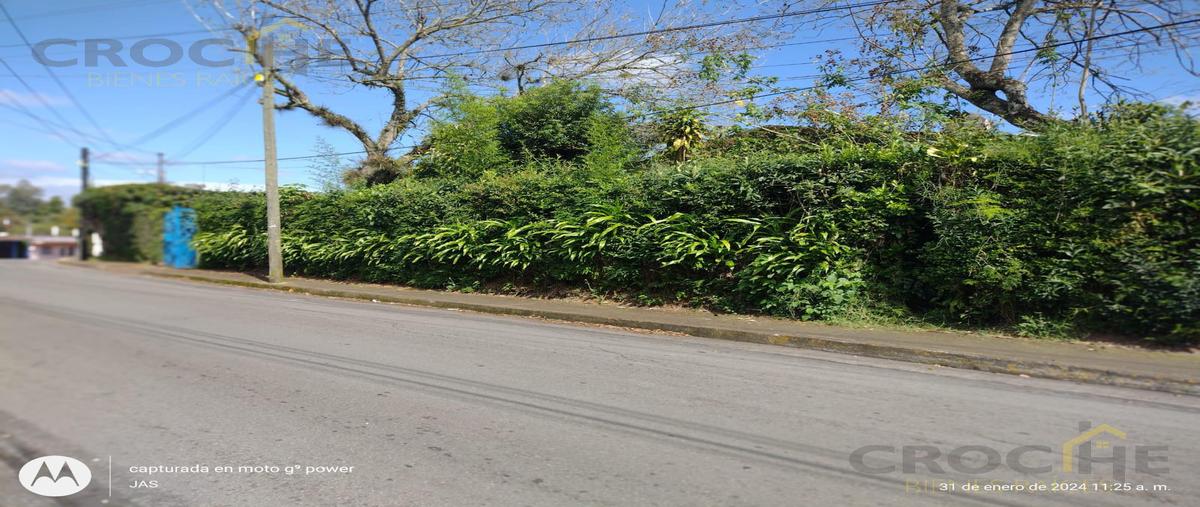 Foto de casa en venta en  , nuevo xalapa, xalapa, veracruz de ignacio de la llave, 0 No. 03