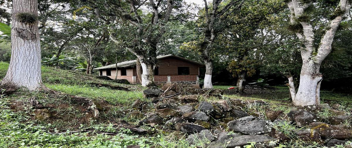 Foto de terreno habitacional en venta en  , nuevo xalapa, xalapa, veracruz de ignacio de la llave, 0 No. 04