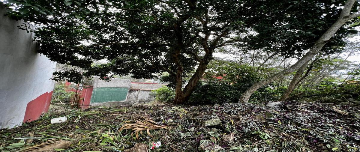 Foto de terreno habitacional en venta en  , nuevo xalapa, xalapa, veracruz de ignacio de la llave, 0 No. 04