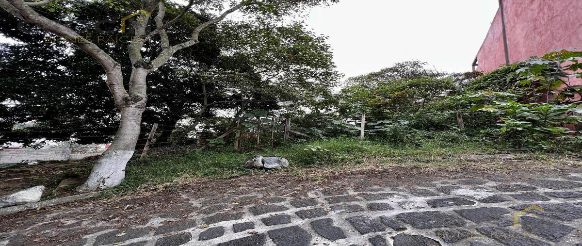 Foto de terreno habitacional en venta en  , nuevo xalapa, xalapa, veracruz de ignacio de la llave, 0 No. 05
