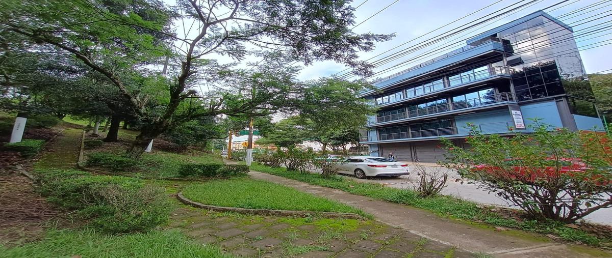 Foto de edificio en , nuevo xalapa, xalapa, veracruz de ignacio de la llave, 0 foto 01 Foto de edificio en renta en , nuevo xalapa, xalapa, veracruz de ignacio de la llave, 0 No. 01