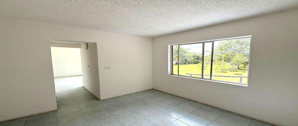 Foto de edificio en renta en  , nuevo xalapa, xalapa, veracruz de ignacio de la llave, 0 No. 05