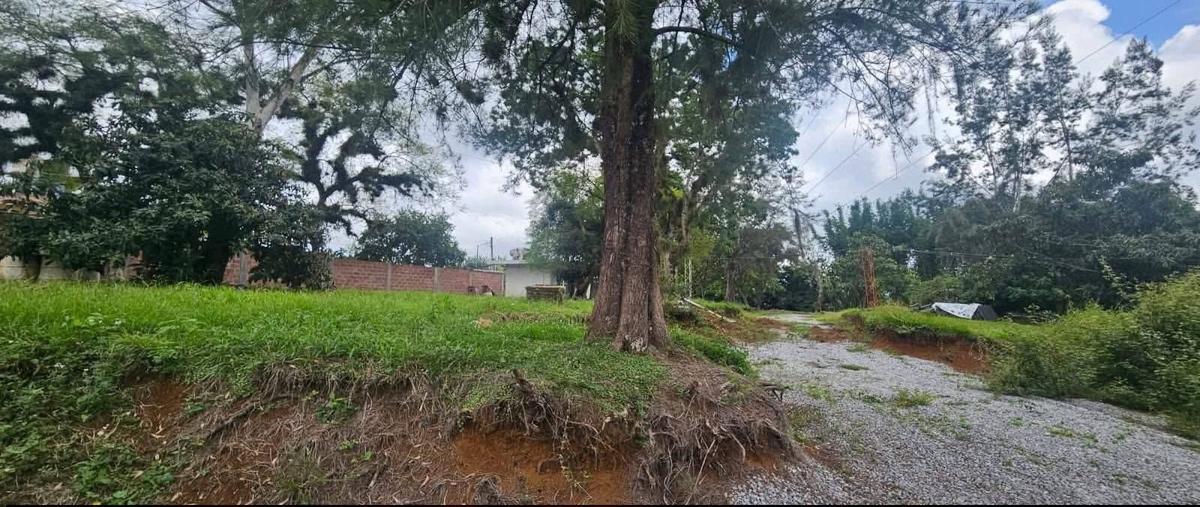 Foto de terreno habitacional en venta en  , nuevo xalapa, xalapa, veracruz de ignacio de la llave, 0 No. 03