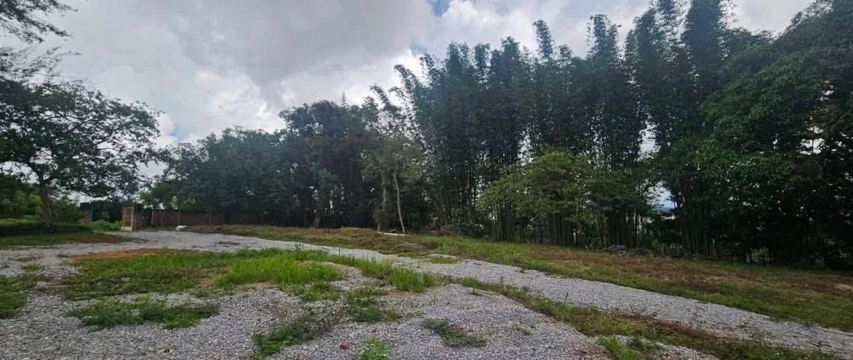 Foto de terreno habitacional en venta en  , nuevo xalapa, xalapa, veracruz de ignacio de la llave, 0 No. 04