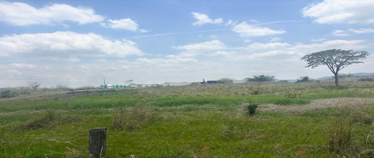 Foto de terreno habitacional en venta en  , nuevo xalapa, xalapa, veracruz de ignacio de la llave, 0 No. 03