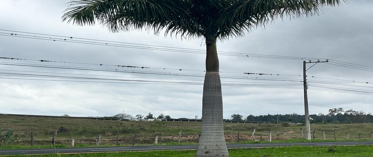 Foto de terreno habitacional en venta en  , nuevo xalapa, xalapa, veracruz de ignacio de la llave, 0 No. 05