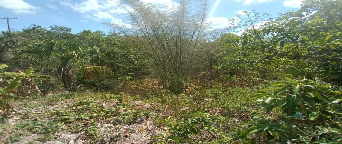 Foto de terreno habitacional en venta en  , nuevo xcan, lázaro cárdenas, quintana roo, 0 No. 03