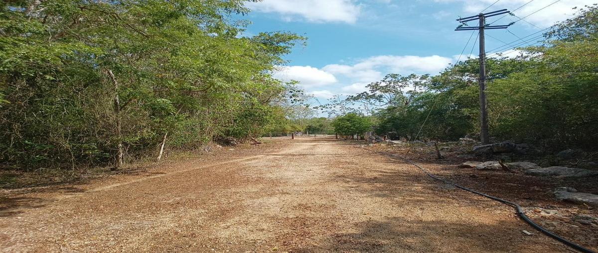 Foto de terreno habitacional en , nuevo xcan, lázaro cárdenas, quintana roo, 0 foto 01 Foto de terreno habitacional en venta en , nuevo xcan, lázaro cárdenas, quintana roo, 0 No. 01