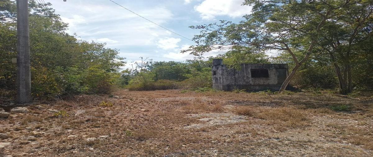 Foto de terreno habitacional en , nuevo xcan, lázaro cárdenas, quintana roo, 0 foto 04 Foto de terreno habitacional en venta en , nuevo xcan, lázaro cárdenas, quintana roo, 0 No. 04
