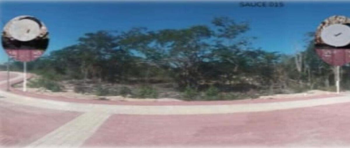 Foto de terreno habitacional en venta en  , nuevo yucatán, mérida, yucatán, 0 No. 04