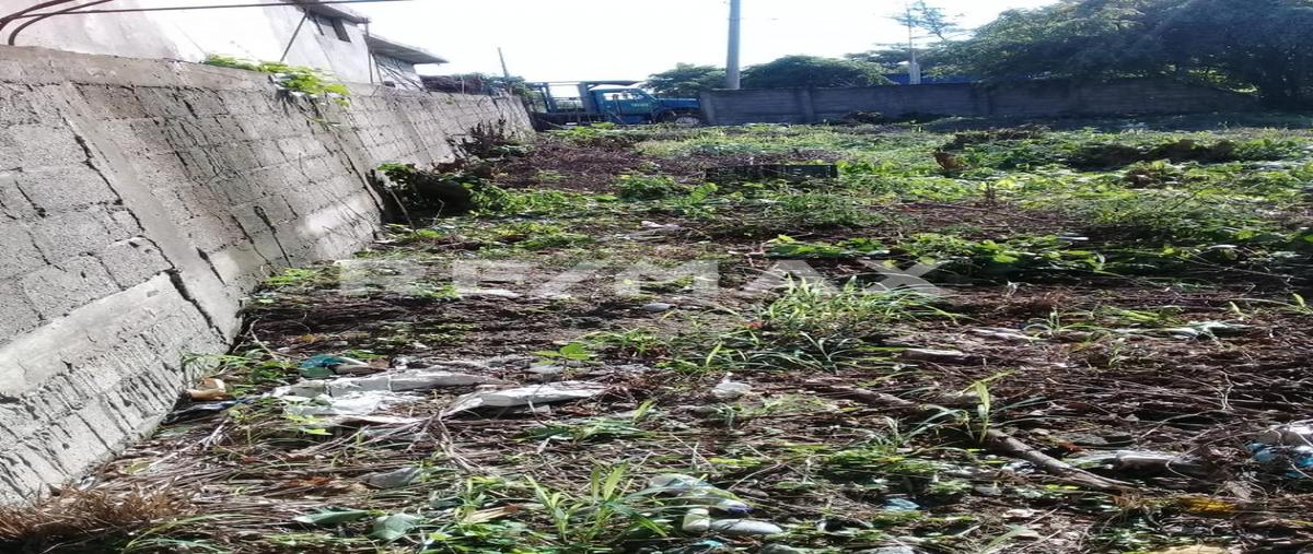 Foto de terreno habitacional en numero 1 , mata redonda, pueblo viejo, veracruz de ignacio de la llave, 0 foto 03 Foto de terreno habitacional en venta en numero 1 , mata redonda, pueblo viejo, veracruz de ignacio de la llave, 0 No. 03
