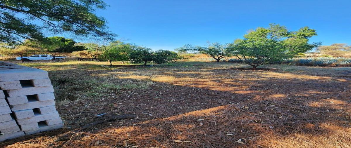 Foto de terreno habitacional en venta en numero aplica s n, jardines de la glorieta, arandas, jalisco, 0 No. 03
