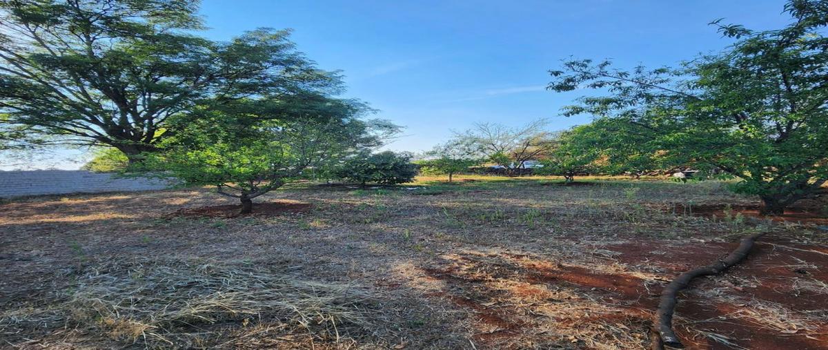 Foto de terreno habitacional en venta en numero aplica s n, jardines de la glorieta, arandas, jalisco, 0 No. 05