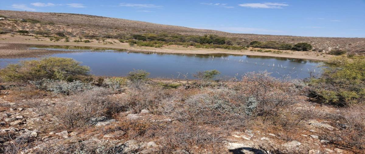 Foto de rancho en venta en numero aplica , san pedro del gallo (el gallo), san pedro del gallo, durango, 30527614 No. 08